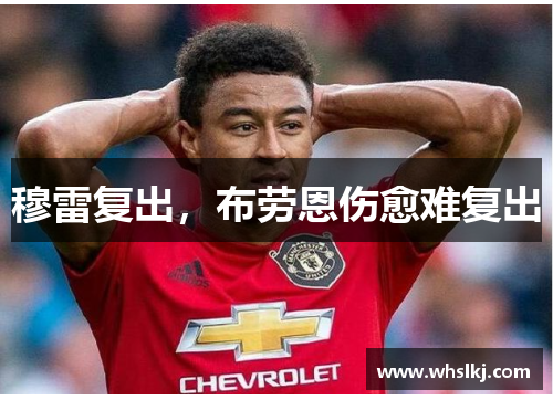 穆雷复出，布劳恩伤愈难复出